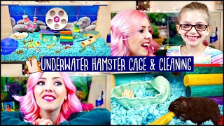 HAMSTER CAGE TOUR amp CAGE CLEANING  UNDERWATER SEA CAGE THEME  My Daughter makes an Appearance [upl. by Sherburn]