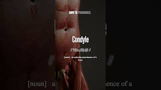 Condyle Pronunciation  How to Pronounce say Condyle CORRECTLY shorts vocabulary [upl. by Etnwahs]