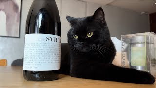 Syrah is boring 🍷 [upl. by Andri]