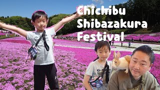 Chichibu Shibazakura Festival in Saitama [upl. by Adnik]