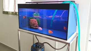 LIOW VIDEO Cleaning my goldfish tank and filters 清洗金鱼缸和过滤器 [upl. by Nadeen]