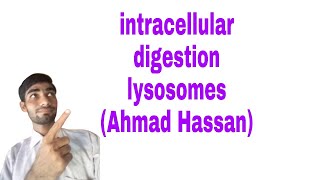 Intracellular digestion by lysosomes  Intracellular digestion by lysosome [upl. by Ohare]