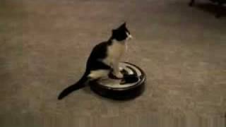 Roomba Driver [upl. by Remled]