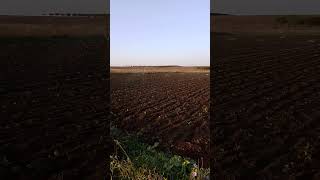 Irrigazione 27102024 farming farmer agriculture agricultura nature agro fruit plants [upl. by Golliner609]