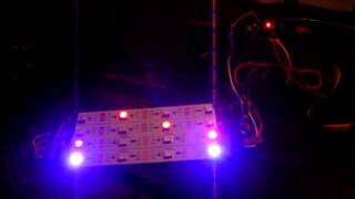 WS2812b programmable LED Strip Arduino  Adafruit Library [upl. by Ario302]