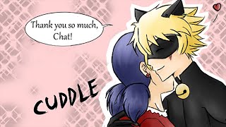 quotLadynoir Fancomicquot Miraculous Ladybug Comics  Comics Dub Compilation [upl. by Htebyram439]