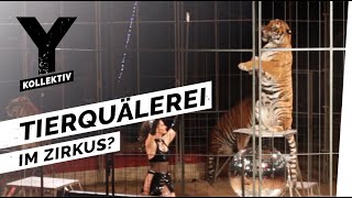 Zirkustiere  Das Leben exotischer Tiere als Entertainer im Zirkus [upl. by Noak829]