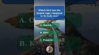 General knowledge quiz part 107 generalknowledge generalknowledgequiz challenge quiz gk trivia [upl. by Artiek]