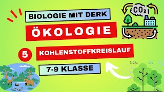 Ökologie  5  Kohlenstoffkreislauf  7  9 Klasse [upl. by Mueller]