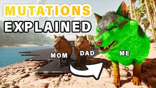 How to Stack or Move Mutations  Breeding Mutations Explained Ingame ► Ark Survival Ascended [upl. by Natalina]