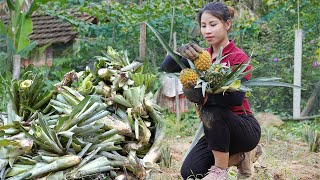 gardening growing pineapple trees raising livestock living with nature triệu lily [upl. by Akemor]