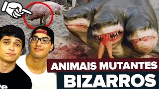 OS ANIMAIS MUTANTES MAIS BIZARROS DO MUNDO [upl. by Neyrb96]