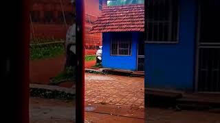 ഇടിയും മഴയും green screen short [upl. by Merceer669]