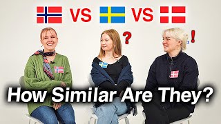 Can Nordic Countries Understand Each Other Danish Swedish Norwegian [upl. by Oneladgam607]