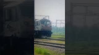 wap7 vs wdp4d [upl. by Etyak]