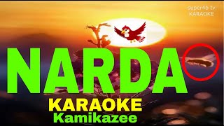 NARDA By Kamikazee KARAOKE Version 5D Surround Sounds [upl. by Charley]