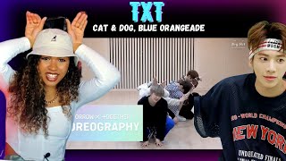 DANCE PRO Discovers TXT  Cat amp Dog Blue Orangeade Dance Practices [upl. by Aihselef]