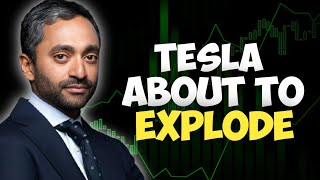 How Nvidia Will Cause The Biggest Rally In Tesla Stock Historyquot  Chamath Palihapitiya [upl. by Nalyac]