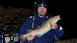 Sea Fishing For Winter Cod At Cowbar Jetty In Staithes [upl. by Shanon183]