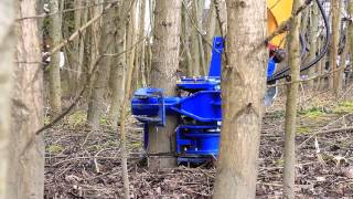 Binderberger Fällgreifer  Grapple for cutting and loading wood [upl. by Ahsatal]