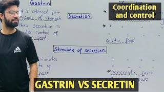 Gastrin vs secretin  gut hormones class 12  physiology of gastrin and secretin [upl. by Aridaj]