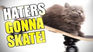 Skate 3  FUNNY MOMENTS  Part 1 [upl. by Yrekaz]