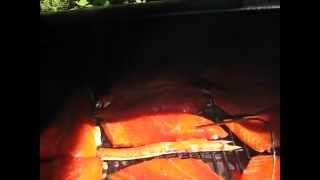 Traeger Smoked Salmon  145 And All Done [upl. by Skipton591]