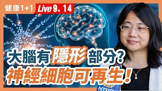 大腦未解之謎！人有「看不見的大腦」，神經細胞有再生能力！（9142022）  健康11 · 直播 [upl. by Gulick175]