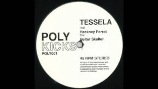 Tessela  Helter Skelter [upl. by Newel]