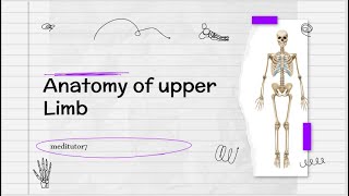 Anatomy of humerus part 1Anatomy of upper limbUpper lim Anatomy Hmerus bone in urdu hindi lecture [upl. by Edak52]