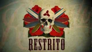 Restrito [upl. by Neik]