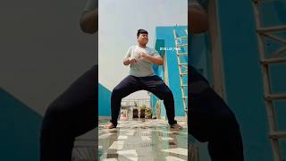 dance video  Suntem made in Romania song  ldcrazy shorts dance [upl. by Akemyt]