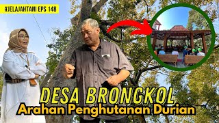 Arahan Profesional Untuk Desa Yang Menghutankan Durian  JelajahTani 148 [upl. by Rogers]