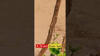 x70 pro zoom test [upl. by Llenrub222]