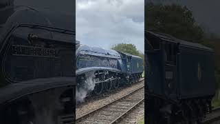 Sir Nigel Gresley departs from Kingscote [upl. by Obellia636]