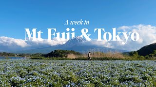 Mt Fuji amp Tokyo Travel Vlog  flower festival Fuji viewpoints quiet areas in Tokyo [upl. by Suehtomit]