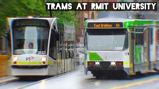 Trams at RMIT University  November 2023 [upl. by Mahalia354]