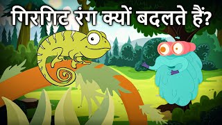 व्य डास् चमेलियोन चेंज कलर   गिरगिट रंग क्यों बदलते हैं  Chameleon In Hindi  DrBinocs Show [upl. by Adlee189]