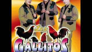 Los Gallitos de Chihuahua Me Ilucionaste [upl. by Langdon]