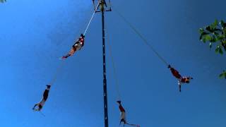 Los Voladores Papantla Mexico [upl. by Ttesil]