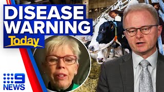 Grim footandmouth disease warning for Aussie livestock  9 News Australia [upl. by Asum351]