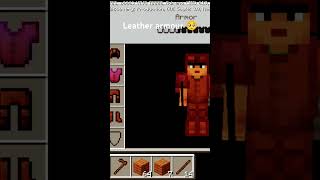 Leather armour 🤣minecraft shortvideo [upl. by Issak347]