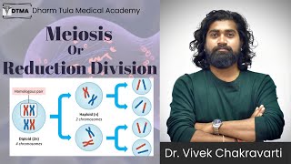 Meiosis Division In Hindi  Reduction Division  Cell Division  Full Lecture  Dr Vivek  meiosis [upl. by Haonam]