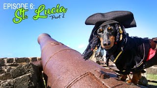 Episode 6 Crusoes Trip to St Lucia Part 2 [upl. by Dolloff313]