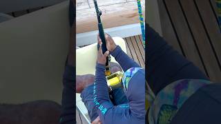 Getting spooled by a big marlin off St Lucia [upl. by Winola]