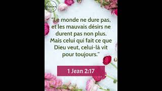 Verset Biblique Du Jour  1 Jean 217  Le Monde Passe mais la Volonté de Dieu Demeure [upl. by Lebiram]