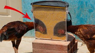 Como hacer Comedero para gallinas  chicken feeder [upl. by Madelaine150]