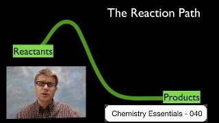 The Reaction Path [upl. by Nalyad]