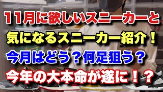 【スニーカー】11月に欲しい！気になるスニーカーの紹介！今月は今年の大本命が遂に！？ [upl. by Eesyak]