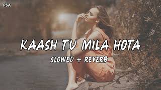 Kaash Tu Mila Hota  lofi song lyrics  § [upl. by Latihs]